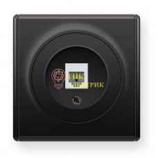 Механизм розетки комп. 1-м СП Florence 1xRJ45 кат.5e черн. 2172816 Механизм розетки комп. 1-м СП Florence 1xRJ45 кат.5e черн. 2172816