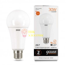 Лампа светодиодная Led Elementary A67 30Вт E27 3000К 73219