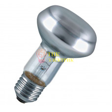 Лампа накаливания CONCENTRA R63 60W E27 4052899182264
